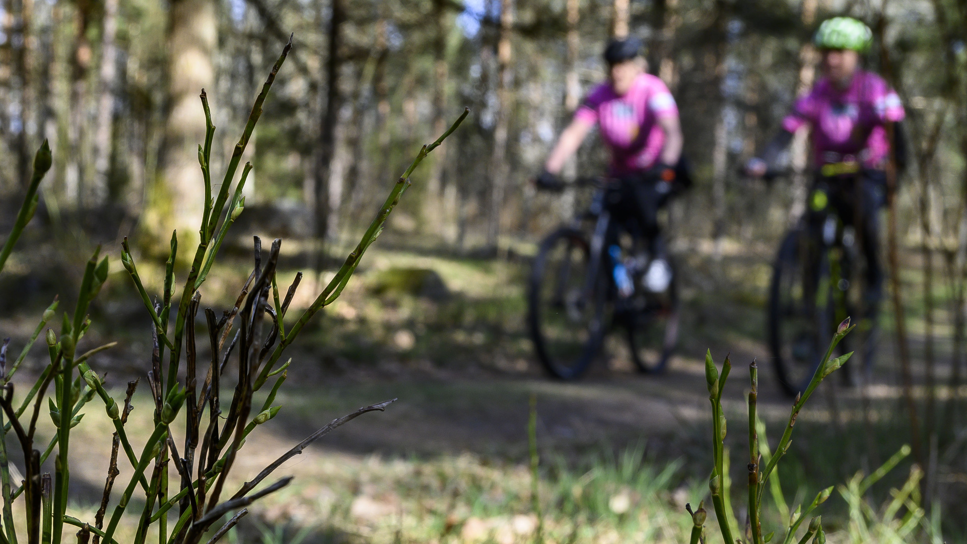 Jenny Almqvist och Anna Frej cyklar i skogen i Vrigstad.