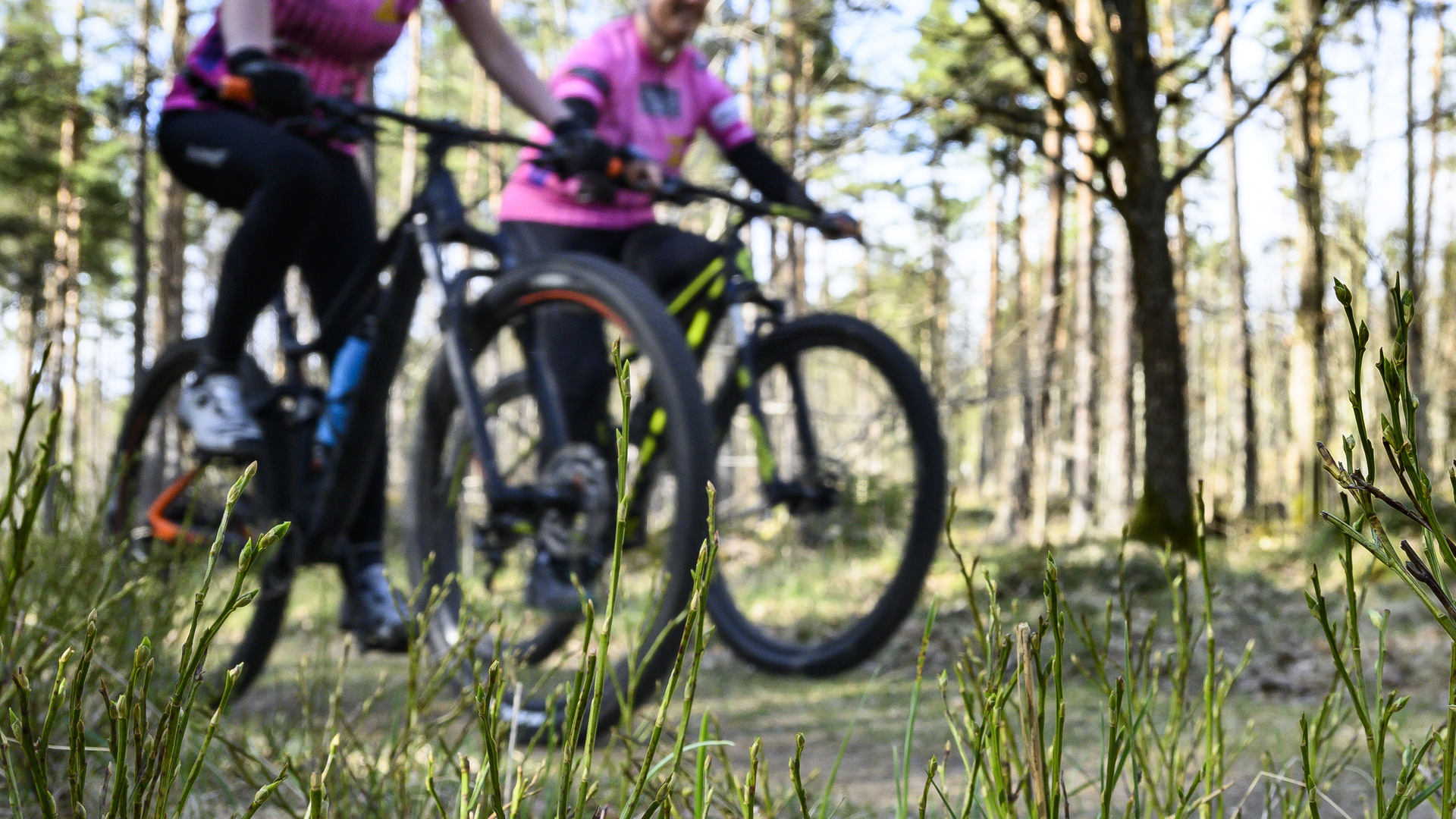 Två kvinnor kommer cyklande på mountainbikes på skogsväg.