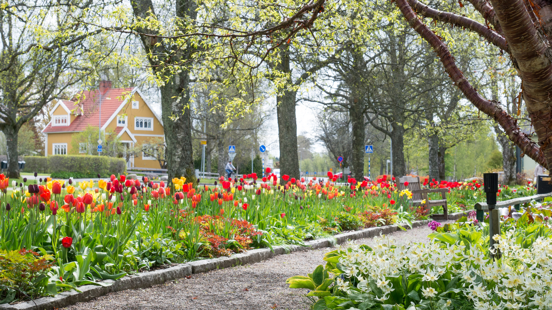 En park full med blommor och träd