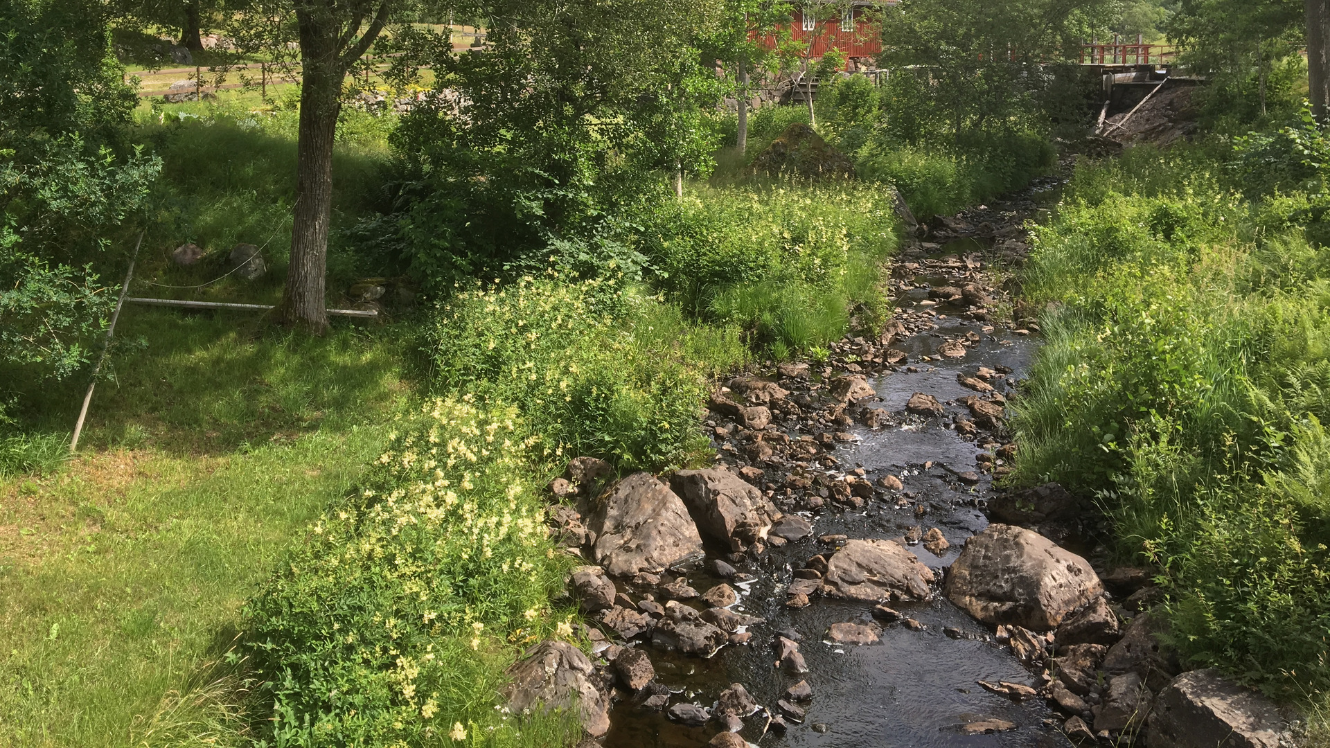 Komstad kvarn längsmed Sävsjö Häradsväg