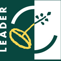 Logotyp Leader 