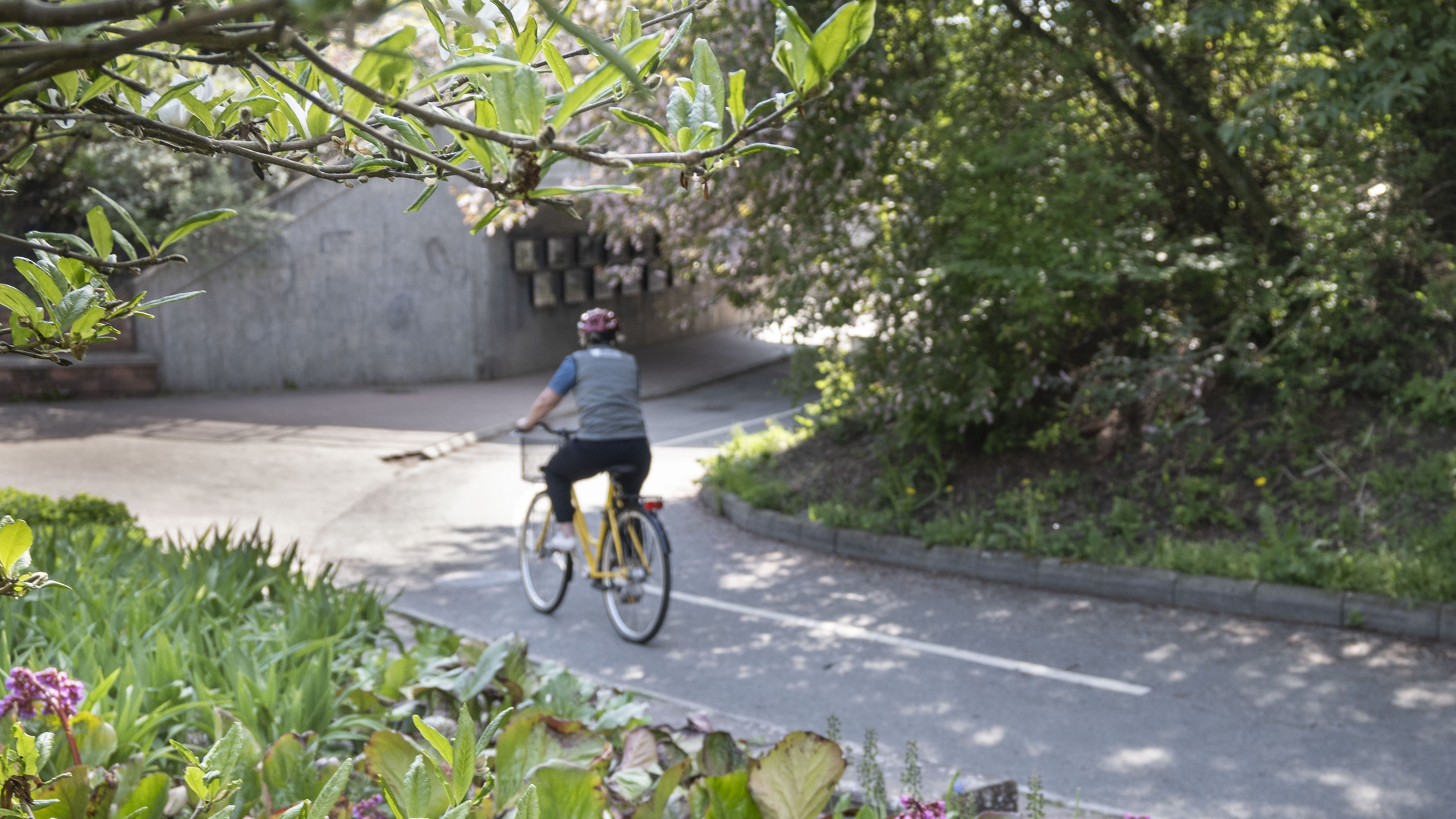 Kvinna cyklar på cykelväg vid grönskande Tunneltorget.
