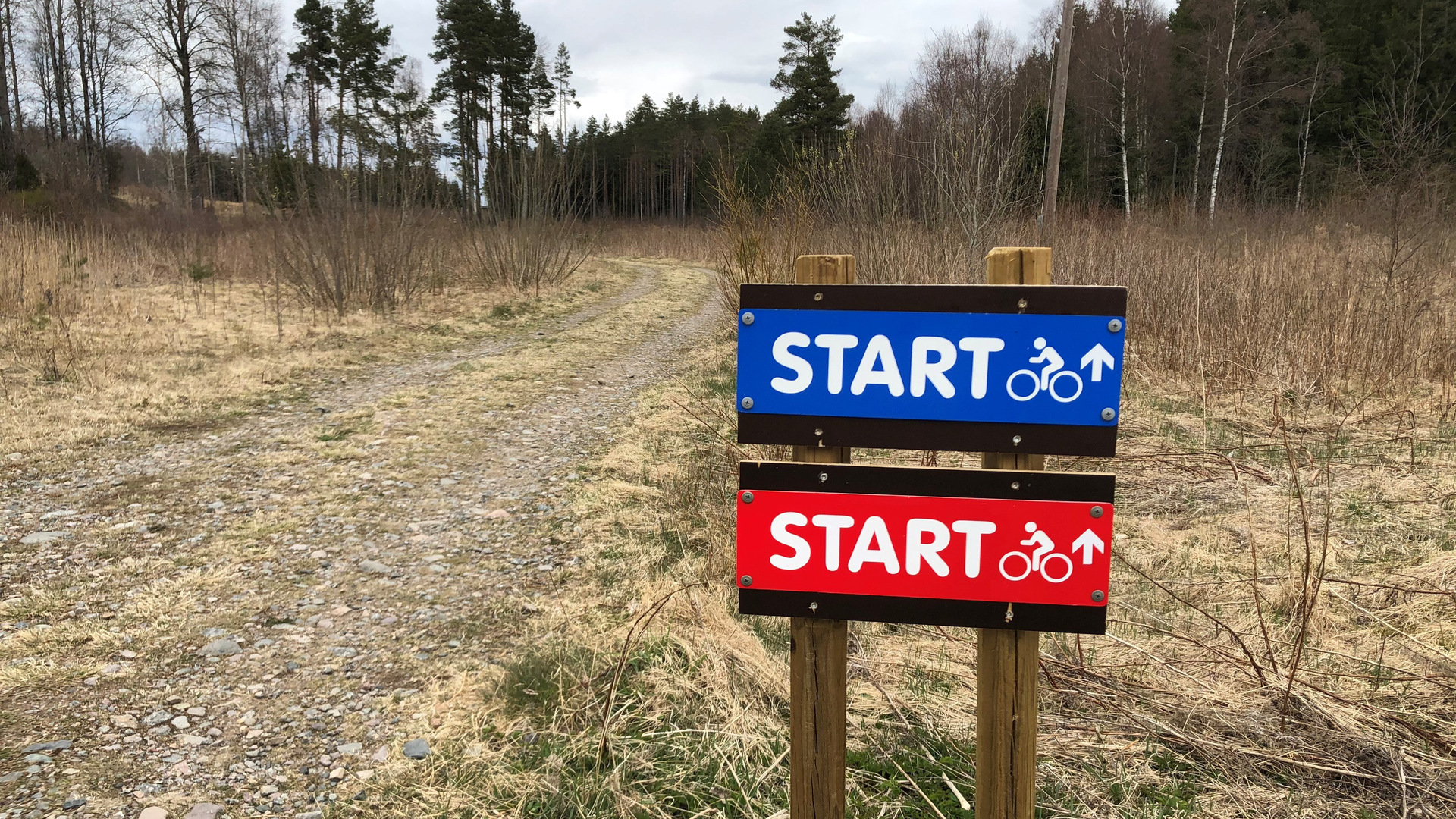 två startskyltar med cykelsymbol vid en skogsväg