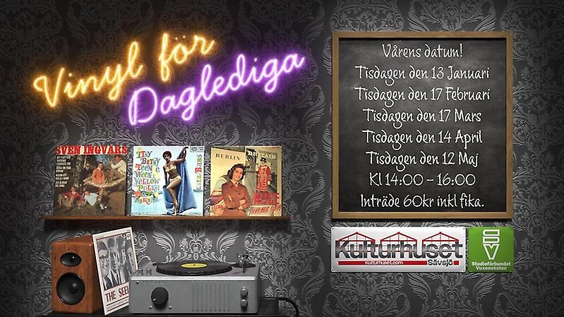 vinyl för daglediga